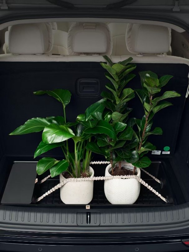 Under-floor tray installed in a boot
