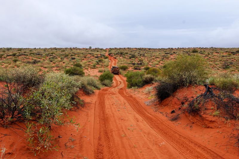 Red dirt track through the Australian outback